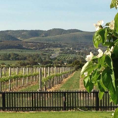Photo: Azur Estate Wines