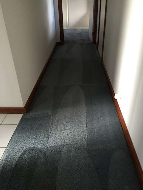 Photo: Powerdry carpet clean